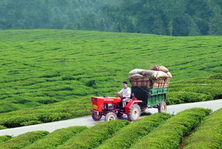 又一波財(cái)政扶持資金來(lái)襲，農(nóng)綜特色項(xiàng)目2018年申報(bào)啟動(dòng)