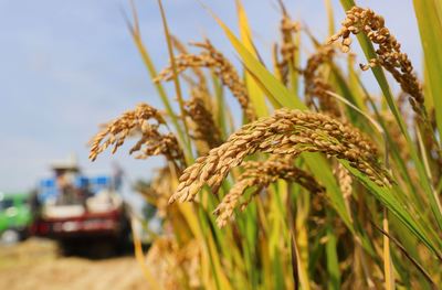 江蘇南通 財(cái)政金融協(xié)同支農(nóng)，省內(nèi)首創(chuàng)農(nóng)擔(dān)貼息政策