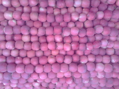 靜寧金色園 源自中國(guó)有機(jī)蘋果基地的“三無(wú)”臻品