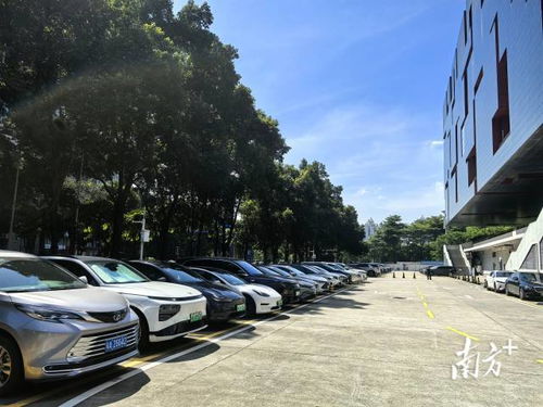 廣東省博物館回應車庫禁停新能源車 基于消防安全要求，非歧視性政策